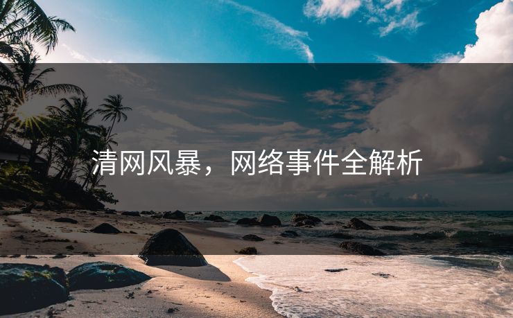 清网风暴，网络事件全解析