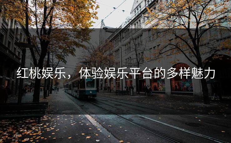 红桃娱乐，体验娱乐平台的多样魅力