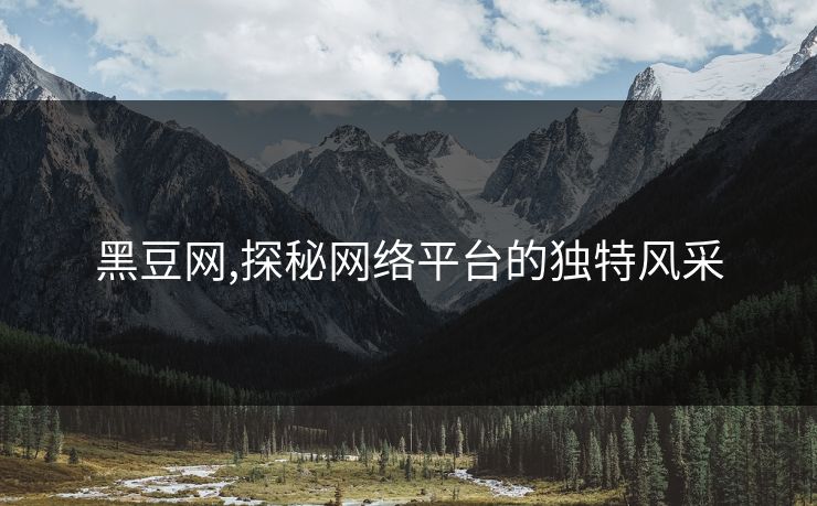 黑豆网,探秘网络平台的独特风采