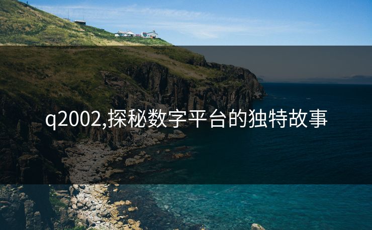 q2002,探秘数字平台的独特故事