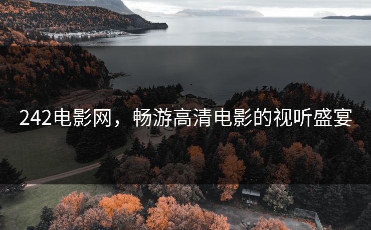 242电影网，畅游高清电影的视听盛宴