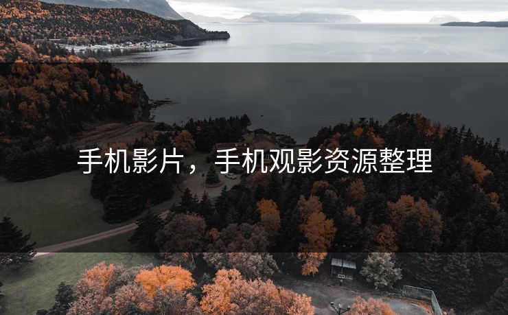 手机影片，手机观影资源整理