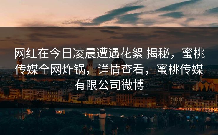 网红在今日凌晨遭遇花絮 揭秘，蜜桃传媒全网炸锅，详情查看，蜜桃传媒有限公司微博